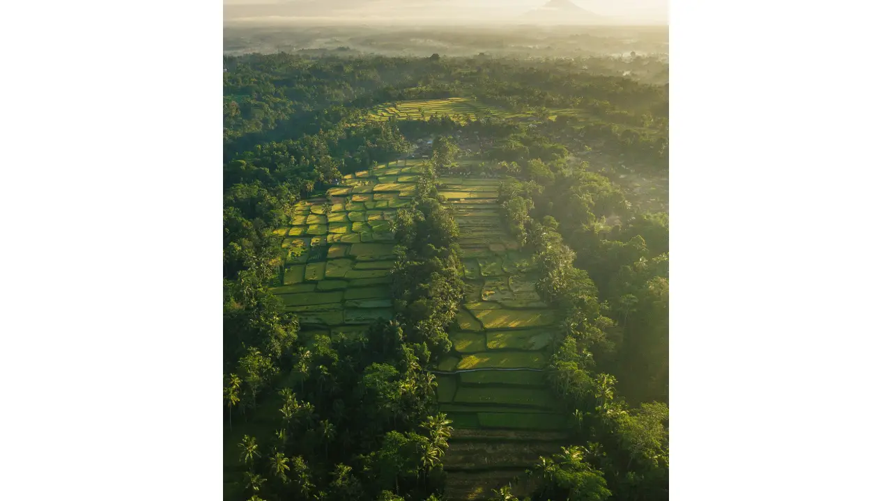 You are currently viewing Indonesia