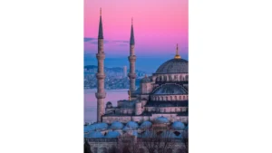 Read more about the article Turkey Transport